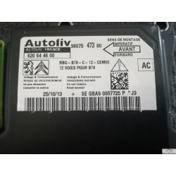 Crash data CITROEN C4 AUTOLIV 620644600