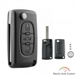 Reparatie cheie Citroen, carcasa+switch+bat.